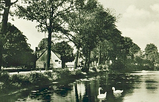 Um 1930 - Mühlenteich an der Werthmühle 